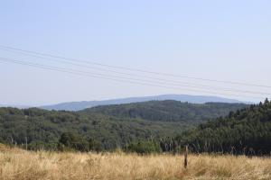 Jasenina
